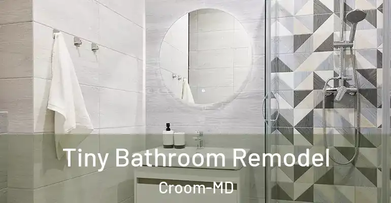 inner Bathroom imggen Tiny Bathroom Remodel Croom-MD