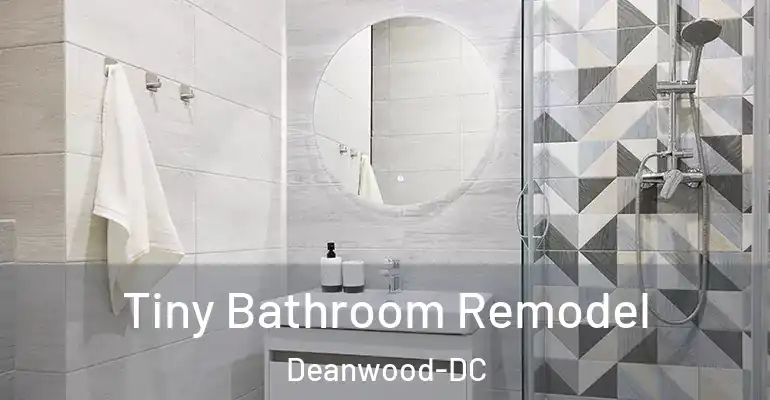 inner Bathroom imggen Tiny Bathroom Remodel Deanwood-DC