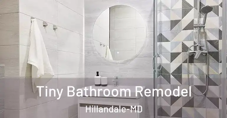 inner Bathroom imggen Tiny Bathroom Remodel Hillandale-MD