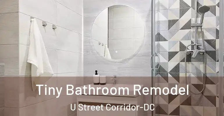 inner Bathroom imggen Tiny Bathroom Remodel U Street Corridor-DC