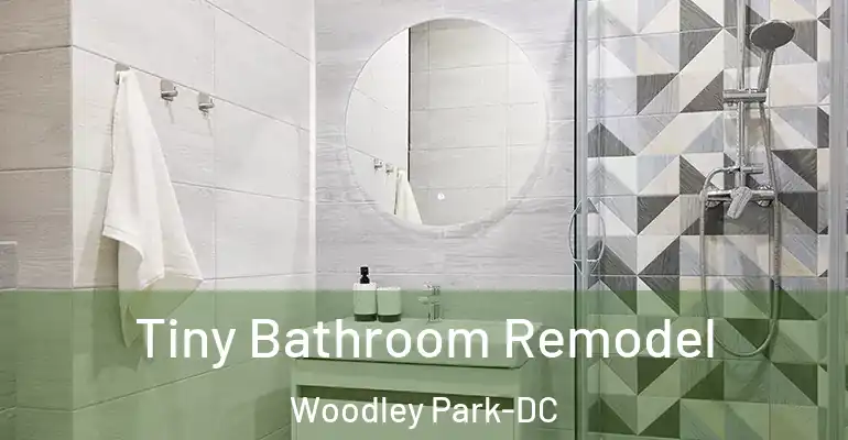 inner Bathroom imggen Tiny Bathroom Remodel Woodley Park-DC