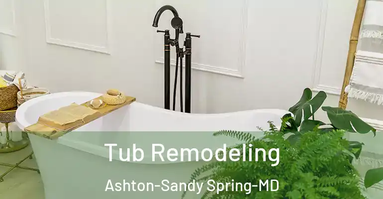 inner Bathroom imggen Tub Remodeling Ashton-Sandy Spring-MD