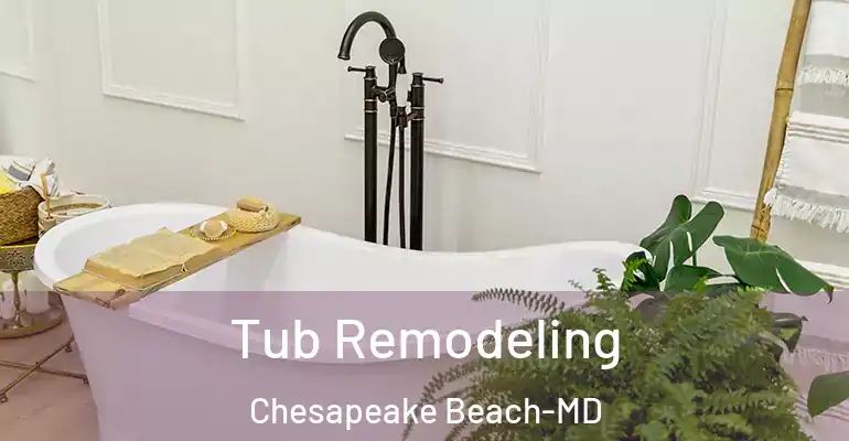 inner Bathroom imggen Tub Remodeling Chesapeake Beach-MD