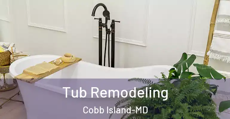 inner Bathroom imggen Tub Remodeling Cobb Island-MD