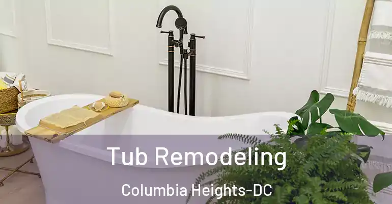 inner Bathroom imggen Tub Remodeling Columbia Heights-DC