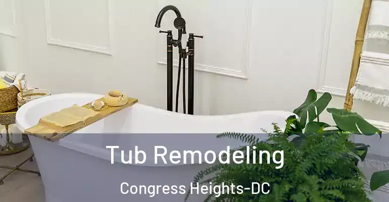 inner Bathroom imggen Tub Remodeling Congress Heights-DC
