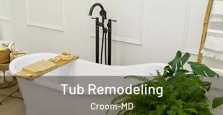 inner Bathroom imggen Tub Remodeling Croom-MD