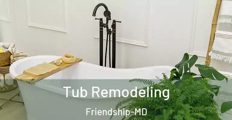 inner Bathroom imggen Tub Remodeling Friendship-MD