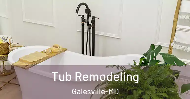 inner Bathroom imggen Tub Remodeling Galesville-MD