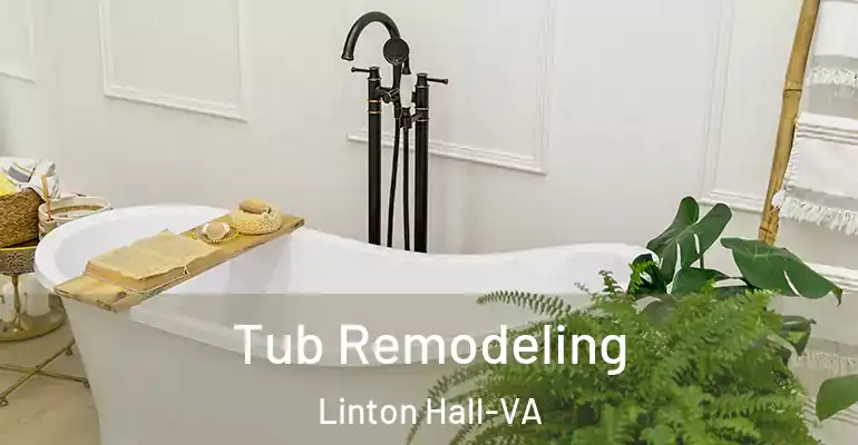 inner Bathroom imggen Tub Remodeling Linton Hall-VA