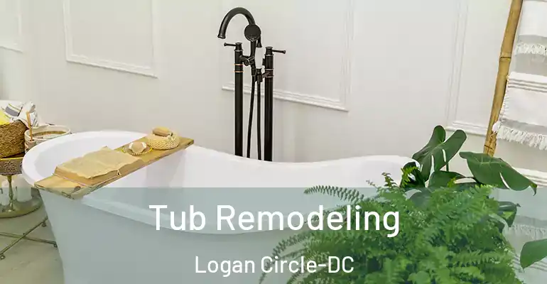 inner Bathroom imggen Tub Remodeling Logan Circle-DC