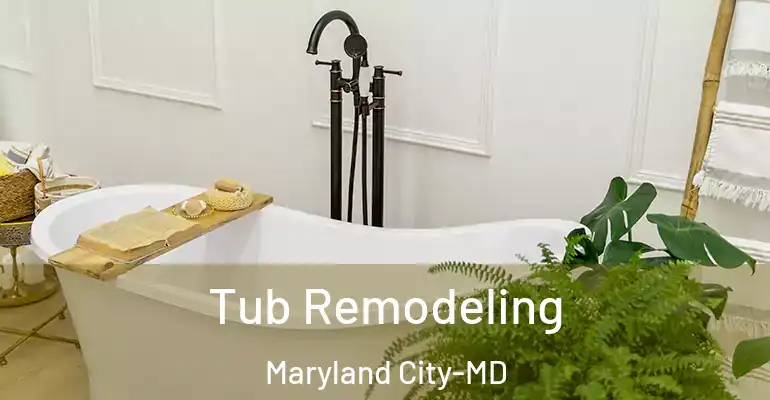 inner Bathroom imggen Tub Remodeling Maryland City-MD