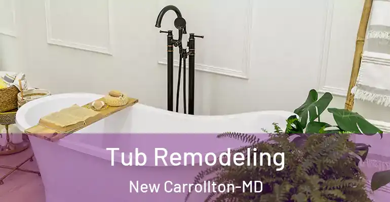 inner Bathroom imggen Tub Remodeling New Carrollton-MD