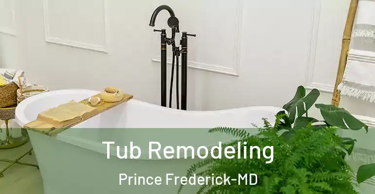 inner Bathroom imggen Tub Remodeling Prince Frederick-MD