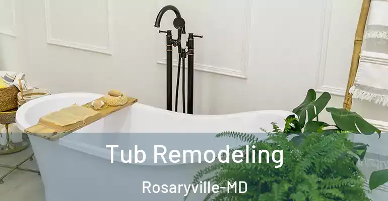 inner Bathroom imggen Tub Remodeling Rosaryville-MD