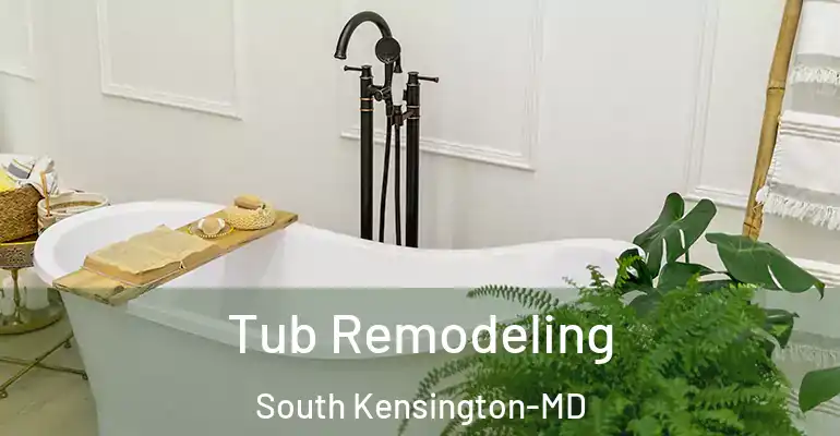 inner Bathroom imggen Tub Remodeling South Kensington-MD
