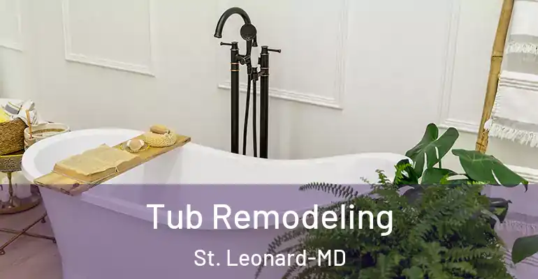 inner Bathroom imggen Tub Remodeling St. Leonard-MD