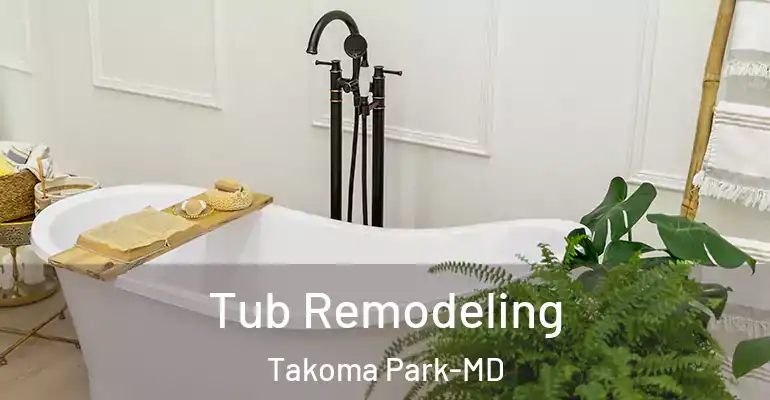inner Bathroom imggen Tub Remodeling Takoma Park-MD