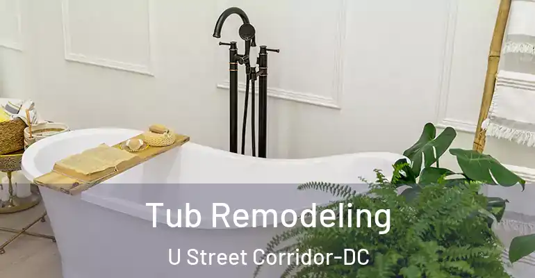inner Bathroom imggen Tub Remodeling U Street Corridor-DC