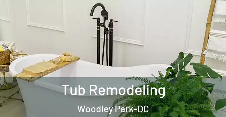 inner Bathroom imggen Tub Remodeling Woodley Park-DC