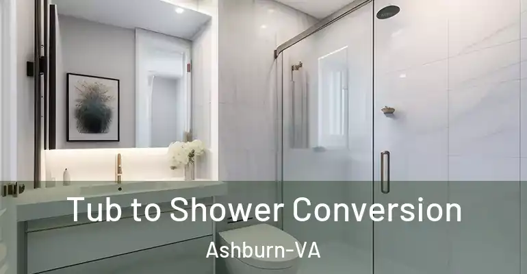 inner Bathroom imggen Tub to Shower Conversion Ashburn-VA
