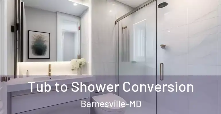 inner Bathroom imggen Tub to Shower Conversion Barnesville-MD