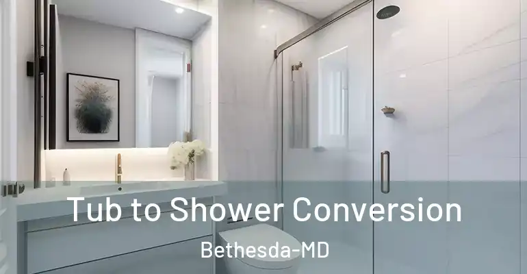 inner Bathroom imggen Tub to Shower Conversion Bethesda-MD