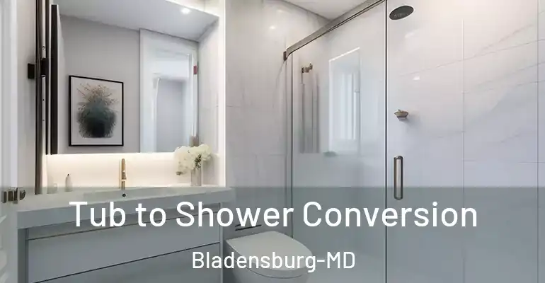 inner Bathroom imggen Tub to Shower Conversion Bladensburg-MD