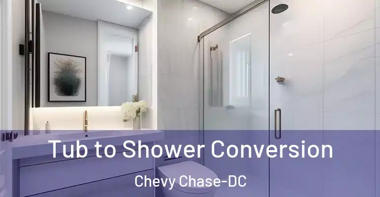 inner Bathroom imggen Tub to Shower Conversion Chevy Chase-DC
