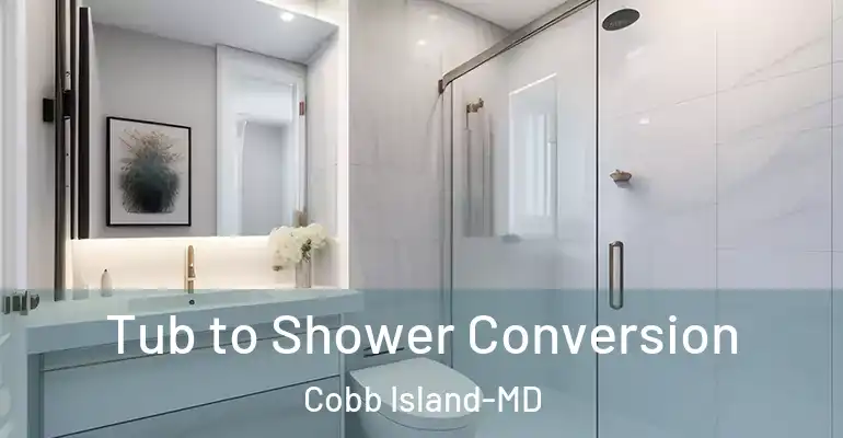 inner Bathroom imggen Tub to Shower Conversion Cobb Island-MD
