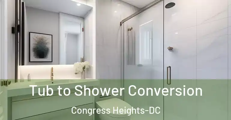 inner Bathroom imggen Tub to Shower Conversion Congress Heights-DC