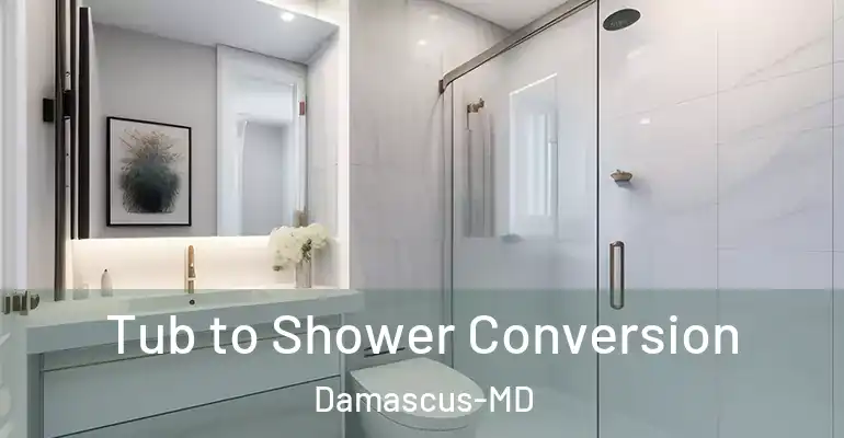 inner Bathroom imggen Tub to Shower Conversion Damascus-MD