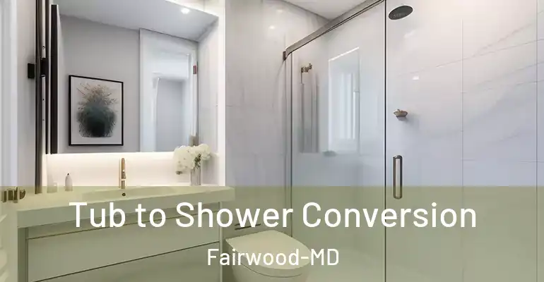 inner Bathroom imggen Tub to Shower Conversion Fairwood-MD