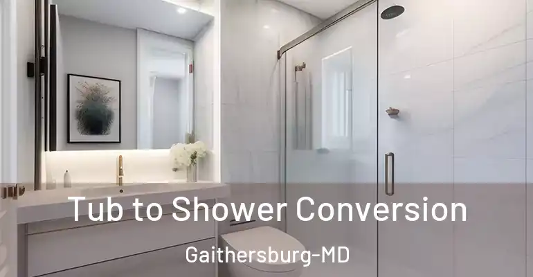 inner Bathroom imggen Tub to Shower Conversion Gaithersburg-MD
