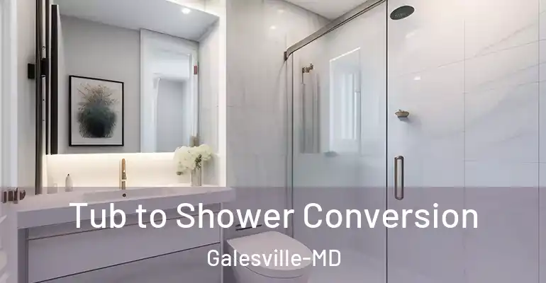 inner Bathroom imggen Tub to Shower Conversion Galesville-MD