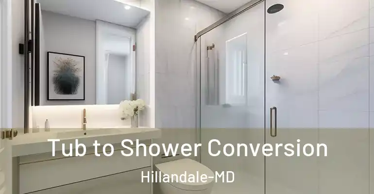 inner Bathroom imggen Tub to Shower Conversion Hillandale-MD