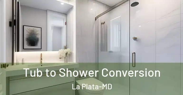 inner Bathroom imggen Tub to Shower Conversion La Plata-MD
