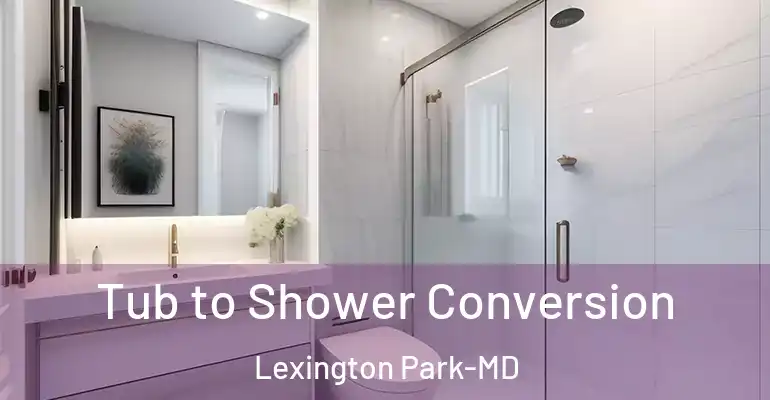 inner Bathroom imggen Tub to Shower Conversion Lexington Park-MD