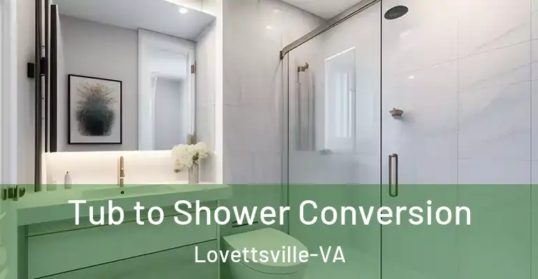 inner Bathroom imggen Tub to Shower Conversion Lovettsville-VA