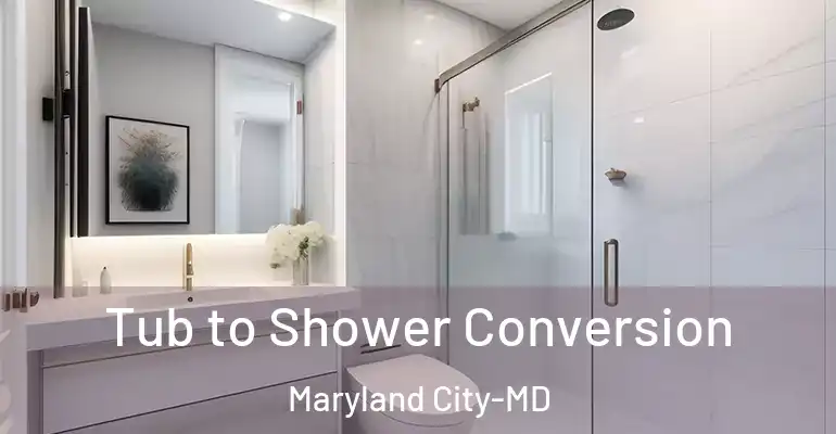 inner Bathroom imggen Tub to Shower Conversion Maryland City-MD