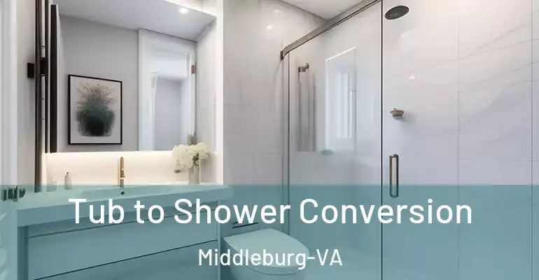 inner Bathroom imggen Tub to Shower Conversion Middleburg-VA