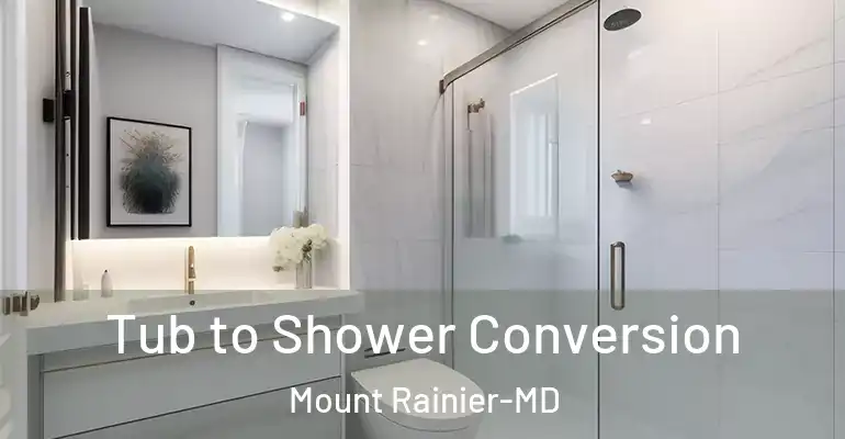 inner Bathroom imggen Tub to Shower Conversion Mount Rainier-MD