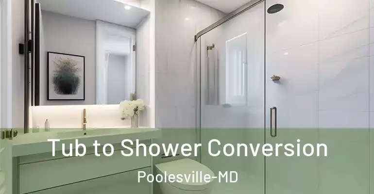 inner Bathroom imggen Tub to Shower Conversion Poolesville-MD