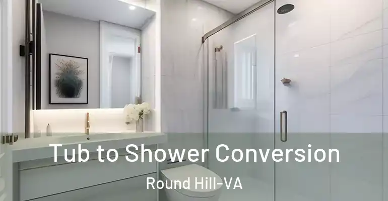 inner Bathroom imggen Tub to Shower Conversion Round Hill-VA