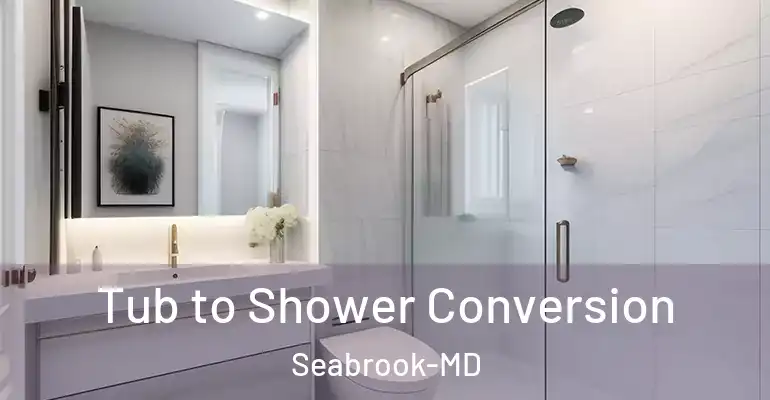 inner Bathroom imggen Tub to Shower Conversion Seabrook-MD