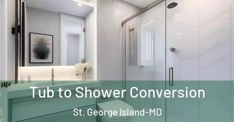 inner Bathroom imggen Tub to Shower Conversion St. George Island-MD