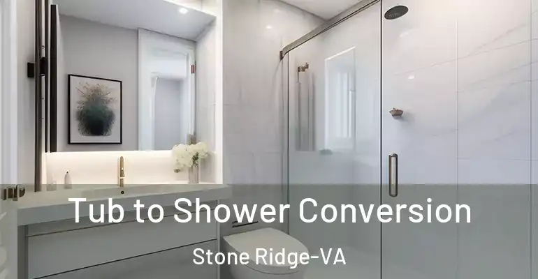 inner Bathroom imggen Tub to Shower Conversion Stone Ridge-VA