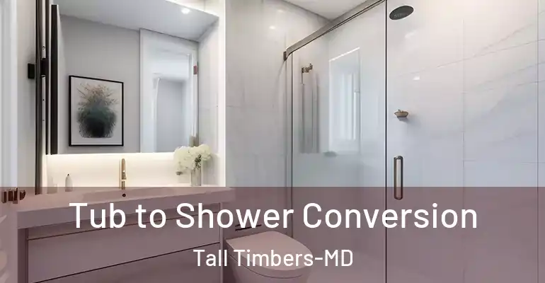 inner Bathroom imggen Tub to Shower Conversion Tall Timbers-MD