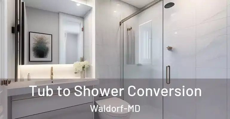 inner Bathroom imggen Tub to Shower Conversion Waldorf-MD