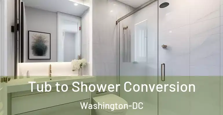 inner Bathroom imggen Tub to Shower Conversion Washington-DC